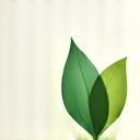 Eco sustainability icon
